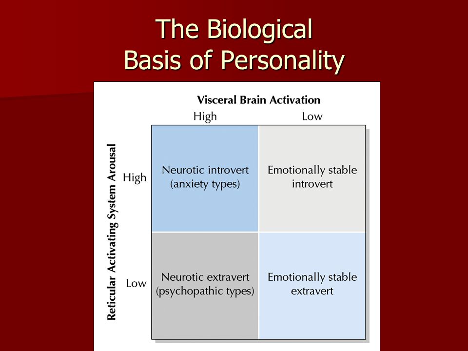 Biological development of a personality